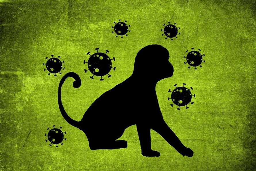 Віспа мавп: фахівці розповіли, як можна стримати спалах